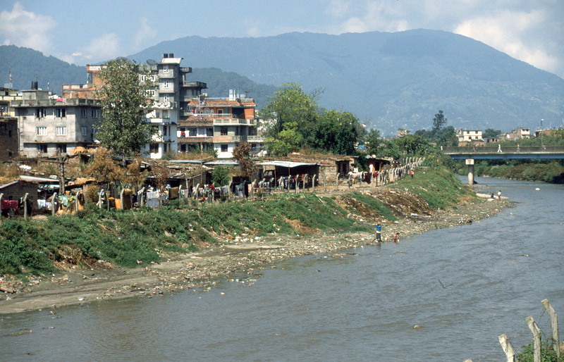 14_Kathmandu, krotten en afval lansg de Bishnumati.jpg